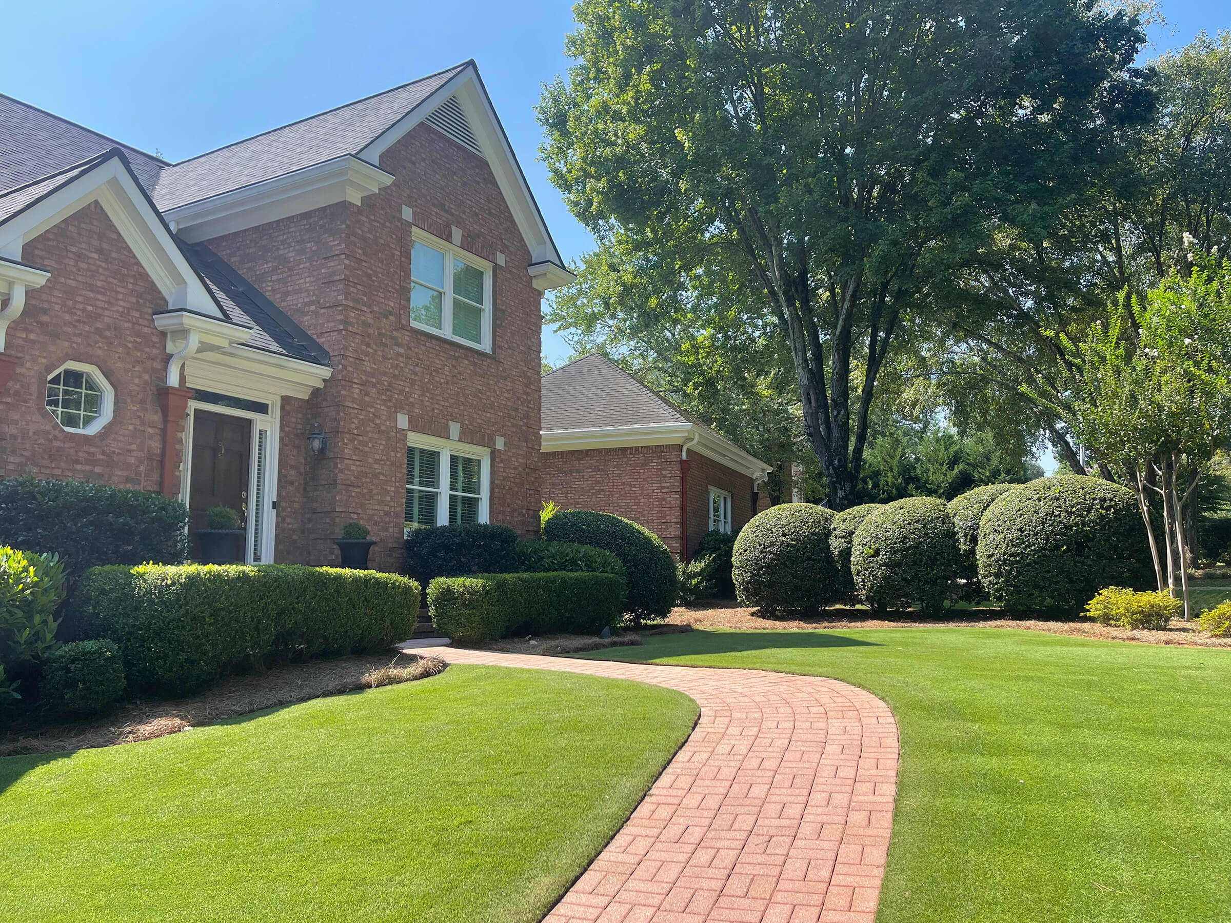 Front lawn with paver walkway