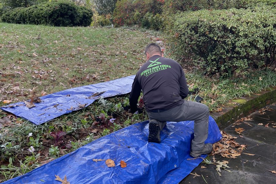 A crew member in a branded shirt is working on a landscape bed